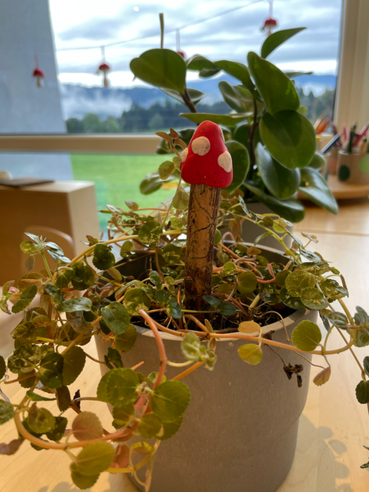 Kreativarbeit "FIMO-Pilze" :: KindergartenSammlung